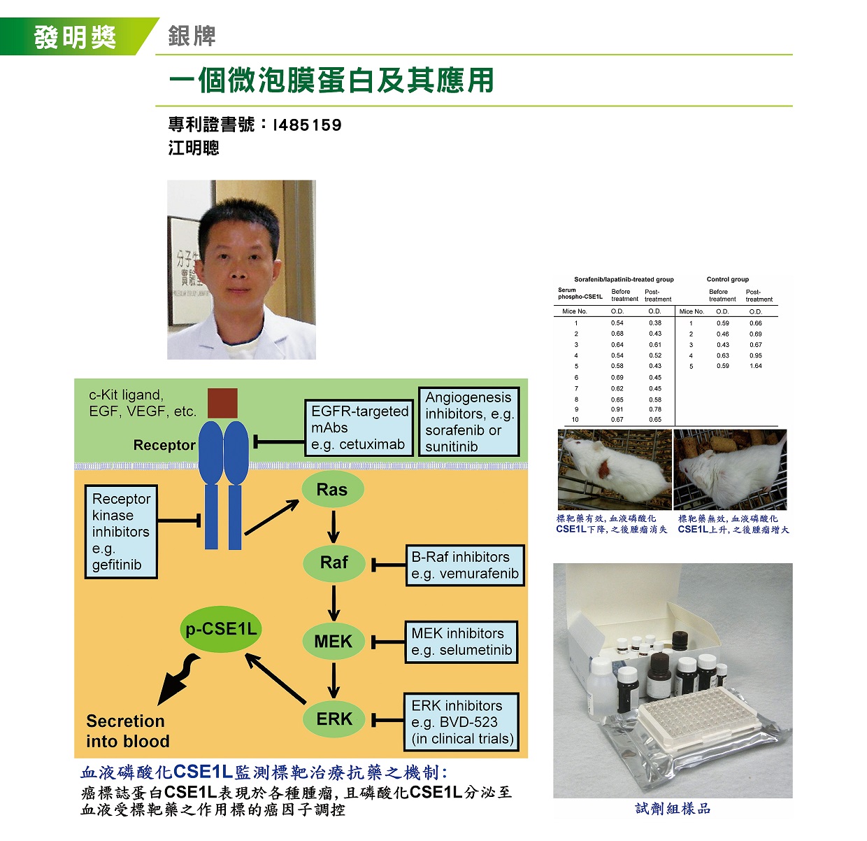 一個微泡膜蛋白及其應用