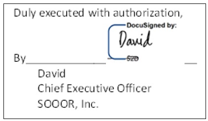 程序基準第1章例1圖_認可之簽章形式外觀