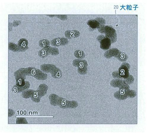 4.法律e教室_1-1_爭審